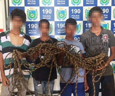 Alegando estarem perdidos, menores são apreendidos após suspeitas de furto e abate de gado 