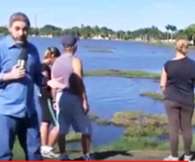 Retirada dos jacarés da Lagoa Maior vira destaque em rede nacional 