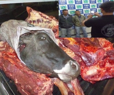 Funcionário de indústria da celulose é preso com amigo após abigeato 
