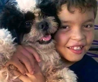 Depois de 25 dias longe de casa, “Nick” finalmente volta para família