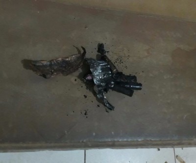 Cartuchos escondidos em saco de carvão explodem durante churrasco no Paranapungá