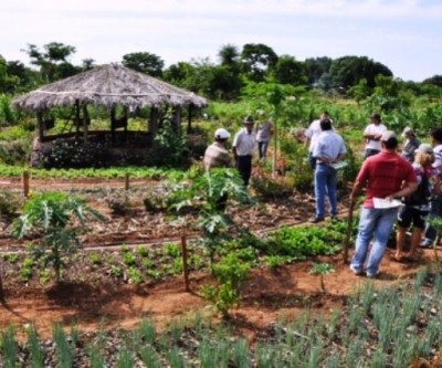 MP quer regularização de lotes nas mãos de sem-terra no Cinturão Verde