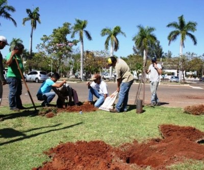 Praça Ramez Tebet recebe plantio de novas árvores por parte da SEMEA