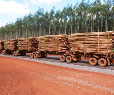 Fibria inova e utiliza composição gigante no transporte de madeiras