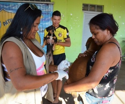 Saúde promove campanha de vacinação de cães e gatos