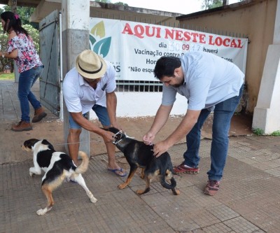 Equipe do Centro de Controle de Zoonoses vacina 644 cães e 76 gatos no primeiro dia da campanha