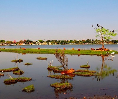 O que começou com fazendas, hoje é a Três Lagoas das inúmeras indústrias