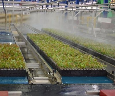 Papel: produto milenar tem em Três Lagoas o centro produtor mundial