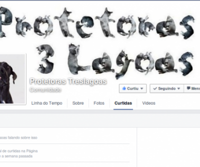 Protetoras dos Animais também se pronunciam sobre morte de Pit Bull