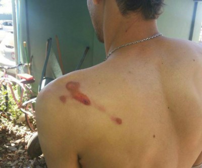 Seguranças de rodeio são acusados de espancar jovens após tropeçarem em fios e desligar o som 