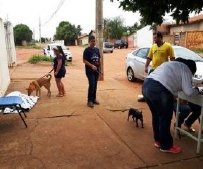 Equipes voltam a vacinar cães e gatos neste sábado