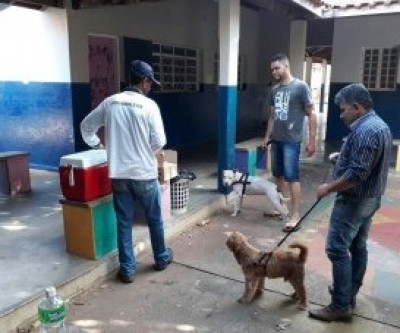 Vacinação antirrábica termina no sábado em oito locais da Cidade
