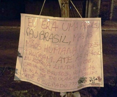  “Pau Brasil” vira caso de polícia; moradora coloca cartaz na árvore para tentar achar o culpado  