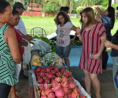 Com um mês de funcionamento, agricultores do “Mini Ceasa” comemoram aumento de vendas
