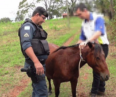 Polícia confirma que pônei furtado foi encontrado no sítio de Marisa Rocha 