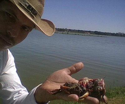 Após morte de Sucuri na lagoa, reportagem entrevista ambientalista de Três Lagoas 