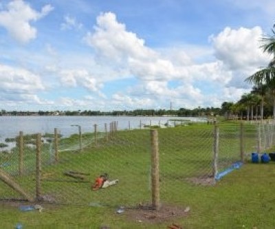 Prefeitura de Três Lagoas comemora plantio de árvores na Lagoa Maior por parte da Fibria