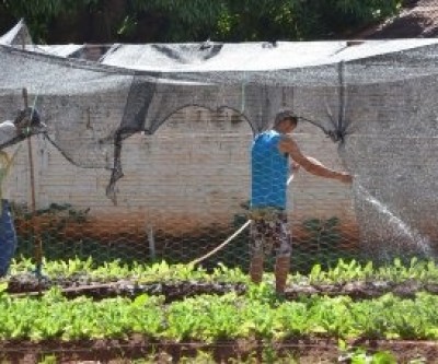 Horta do Centro POP será melhorada com o Projeto Natureza e Corpo