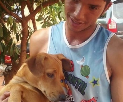 Gari salva cachorra de ser triturada em caminhão de lixo