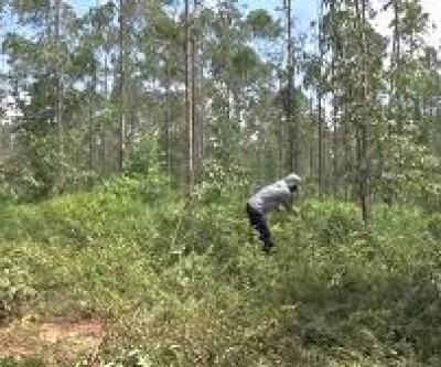 Homens desconhecidos demarcam 3 fazendas sem autorização dos proprietários 