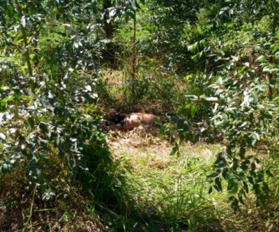 Em Três Lagoas, polícia encontra cadáver em avançado estado de decomposição