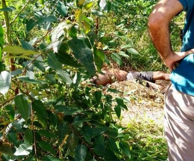 Homem encontrado morto na área rural foi degolado