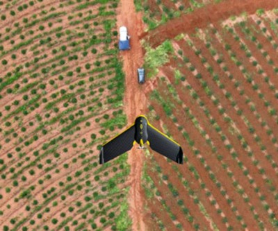Aviões não tripulados fotografam diariamente 230 hectares de floresta em Três Lagoas