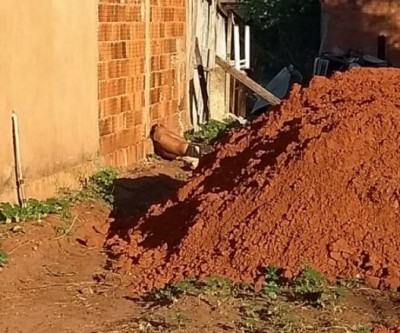 Homem é encontrado morto  sobre lençol em terreno baldio
