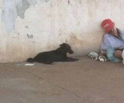 Cão cuida de morador de rua que perdeu a filha em acidente