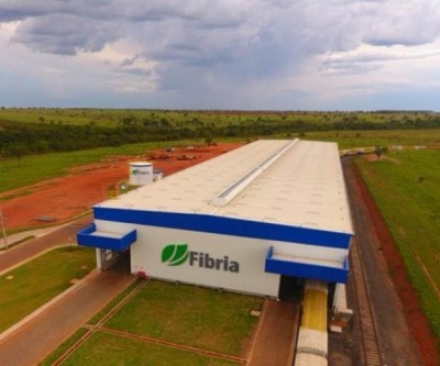 Com ajuda da celulose, volume de cargas em terminais cresce 45%