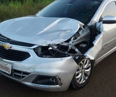 Cavalo na pista causa grave acidente em rodovia de Três Lagoas