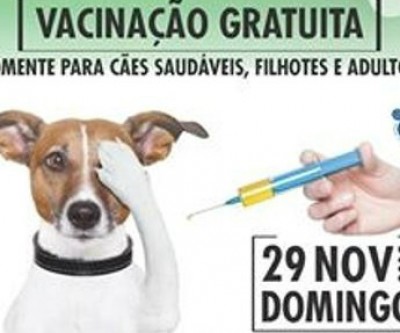 Domingo é dia de Vacinação pela Erradicação da Cinomose