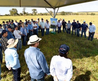 Senar MS realiza Dia de Campo em Três Lagoas