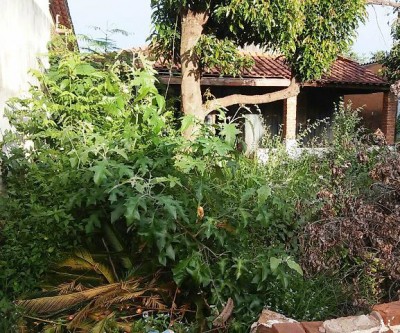 Moradores do Colinos denunciam sujeira em casa abandonada 