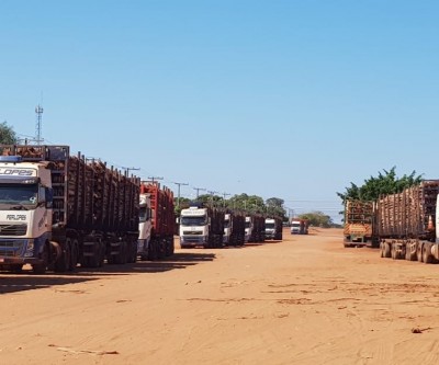 Transporte de eucalipto se normaliza em Três Lagoas