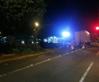 Árvore cai sobre caminhão de entrega de pães no bairro Interlagos