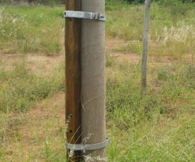 Elektro faz “gambiarra” em poste no bairro Vila Nova e indigna moradores