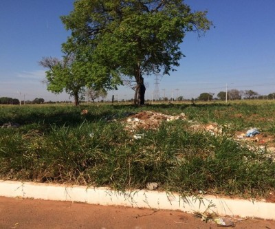 80% de terrenos baldios já foram fiscalizados pela Prefeitura Municipal
