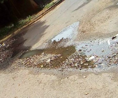 Criadouro de dengue no bairro Santo André preocupa família de idoso em estado terminal de câncer 