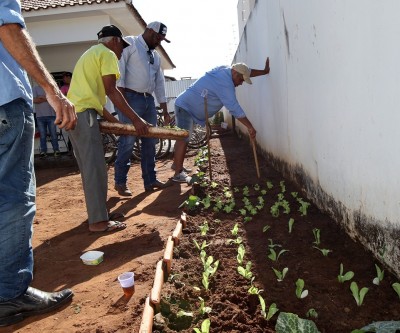 Horta ocupacional será feita para pacientes do CAPS-AD