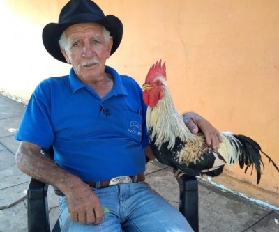 Dono de galo que apareceu na TV é preso por dirigir bêbado