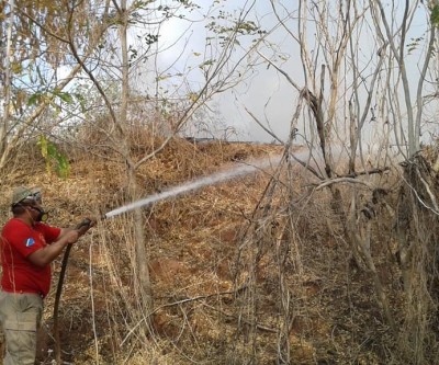 Incêndio acontece em terreno próximo ao aeroporto de Três Lagoas