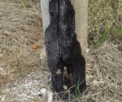 Incêndio abala estrutura de poste de energia no bairro Vila Alegre 