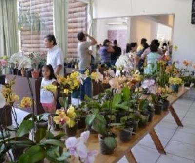 Diretoria Municipal de Cultura realizará exposição e feira de Orquídeas