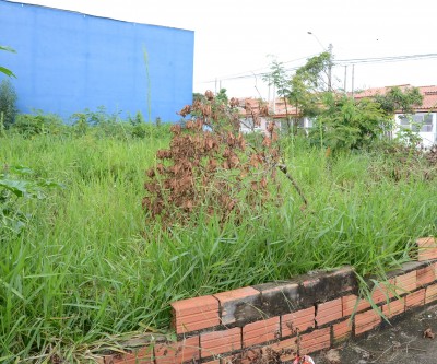 Mais de 2 mil terrenos baldios já foram notificados pela prefeitura