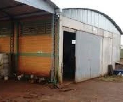 Fazenda é invadida e furtada às margens da BR-158 em Três Lagoas 