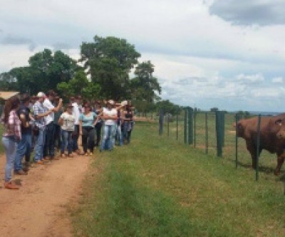 Alunos da Unesp Ilha Solteira visitam fazenda em Três Lagoas 
