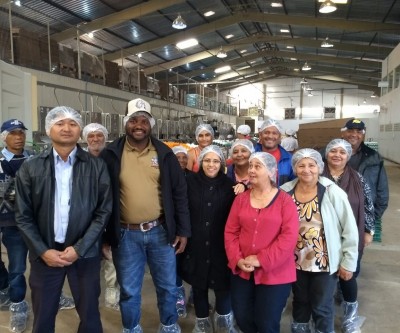 Produtores rurais do Pontal do Faia visitam cooperativa de ovos em Terenos