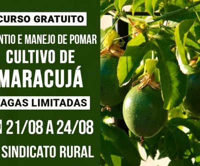 Sindicato Rural fará curso sobre cultivo de maracujá em Três Lagoas