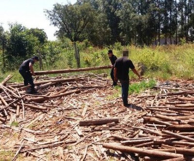  Suspeitos de furtarem madeiras são presos pela Patrulha Rural 